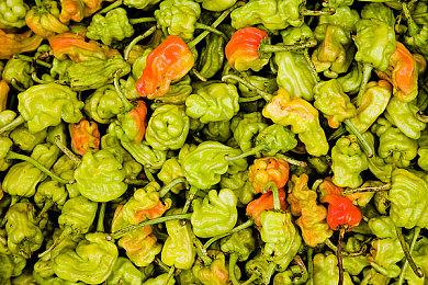 2021年Metacritic五大差评游戏 倒数第一毫无悬念